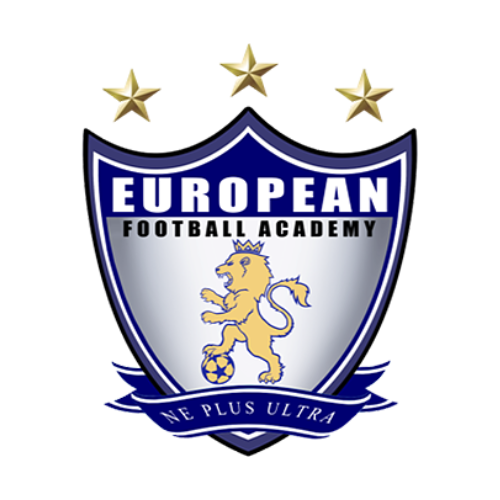 Lion%20efa%20logo