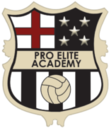 Pro_elite_academy
