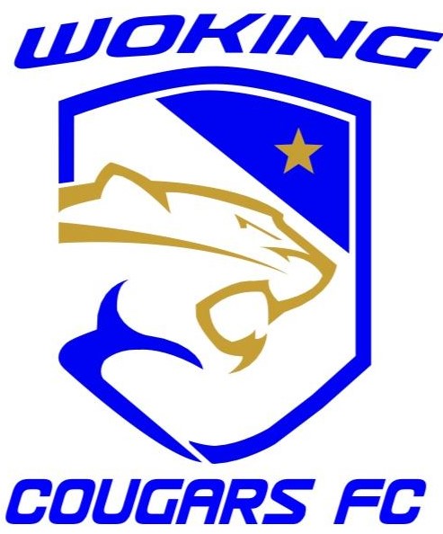 Wc%20new%20logo_2